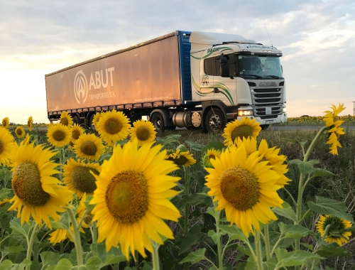 TRANSPORTE Y LOGISTICA 